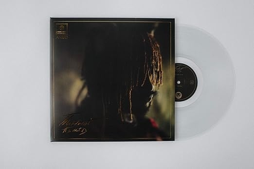 It is What it is LP by Thundercat album artwork