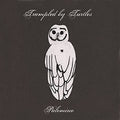 Palomino LP by Trampled by Turtles album artwork
