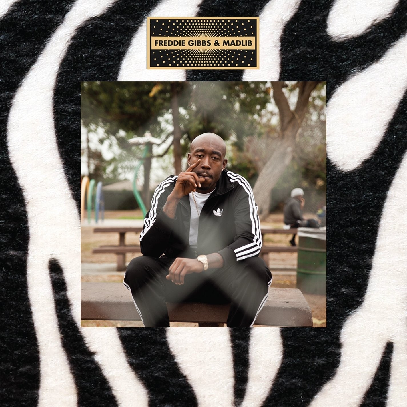 Pinata LP by Freddie Gibbs album artwork