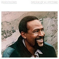 Dream Of A Lifetime LP by Marvin Gaye album artwork