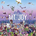 Rearrange Us LP by Mt. Joy album artwork
