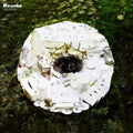 Days to Come LP by Bonobo album artwork