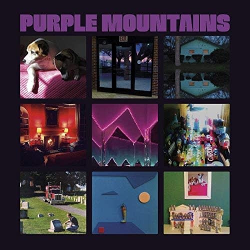 Self-Titled by Purple Mountains album artwork