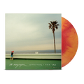 Everything I Ever Saw LP by Menzingers album artwork