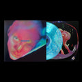 Dopamine Chamber LP