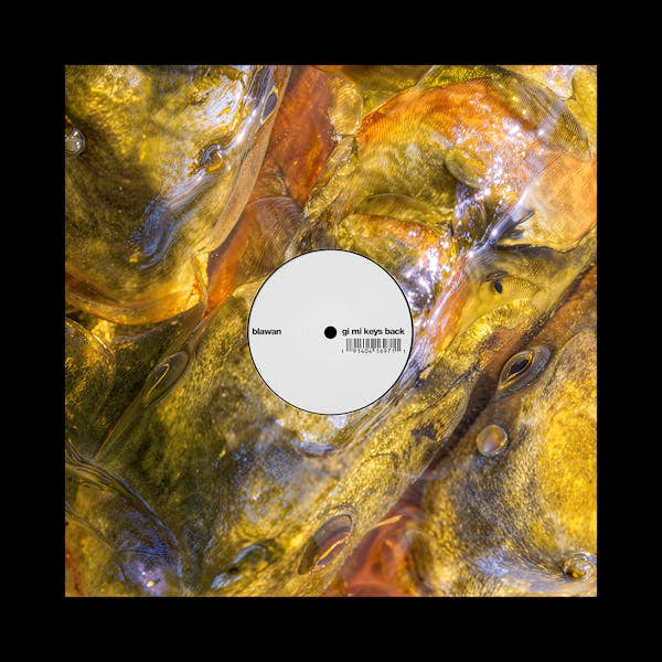 Gi Mi Keys Back 12" by Blawan album artwork