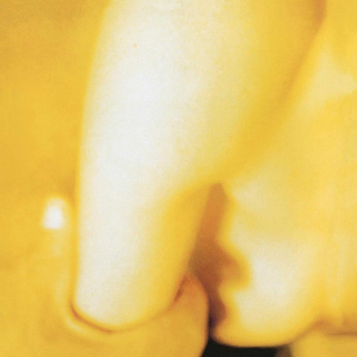 Pisces Iscariot 2LP by The Smashing Pumpkins album artwork