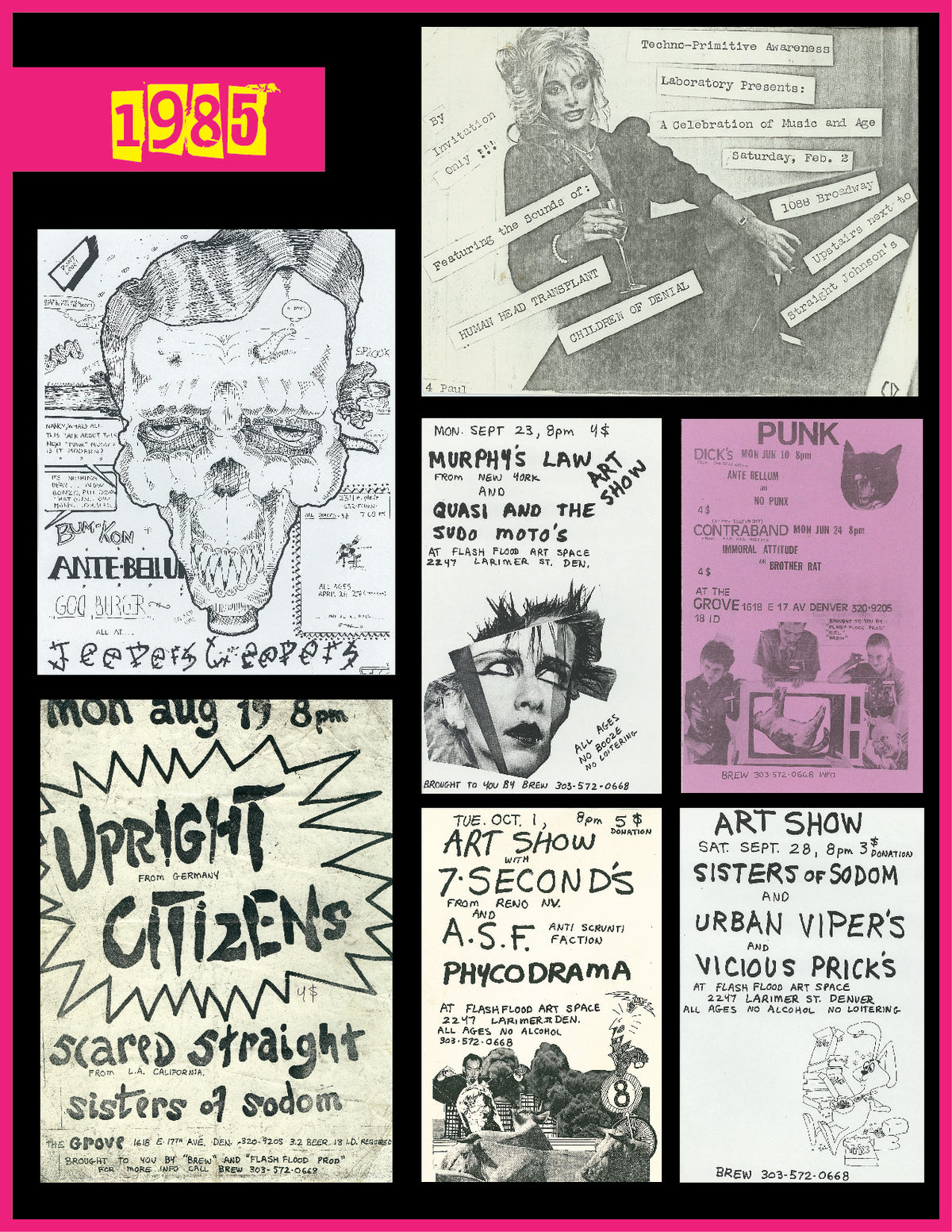Denvoid and the Cowtown Punks (A Collction of Stories From the 80s Denver Punk Scene) Book