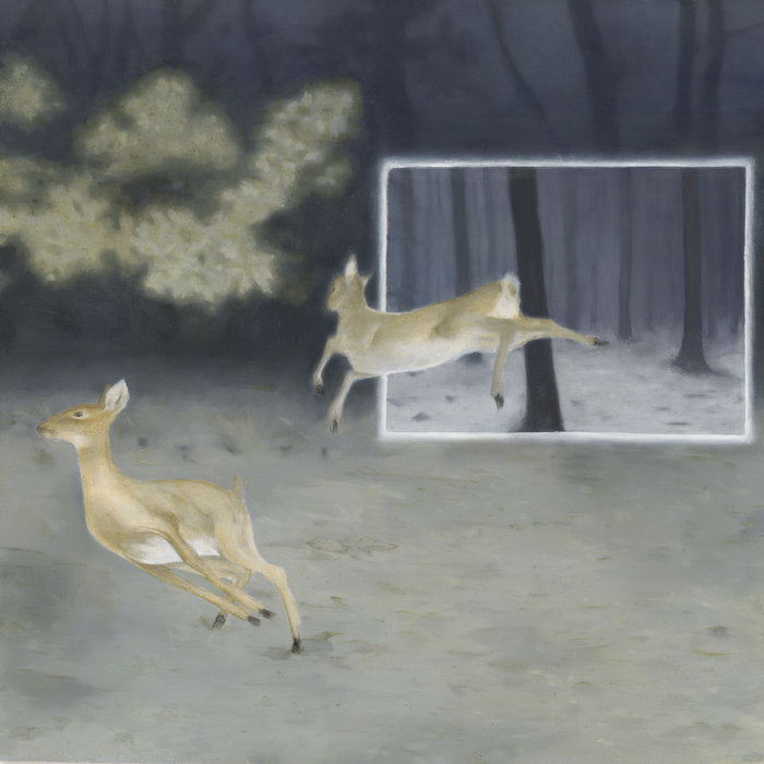 Blinded by Fame LP by Dutch Interior album artwork