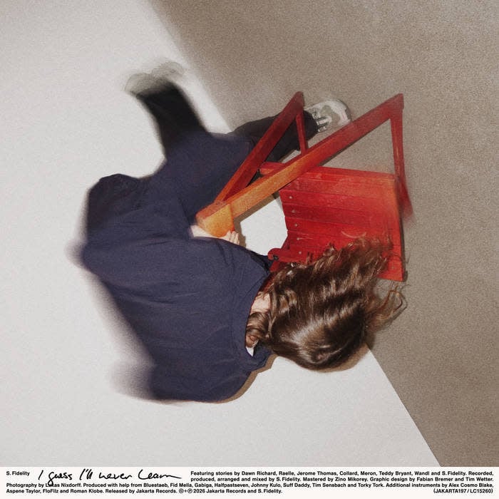 I Guess I'll Never Learn LP by S. Fidelity album artwork