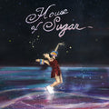 House of Sugar CD by Alex G album artwork
