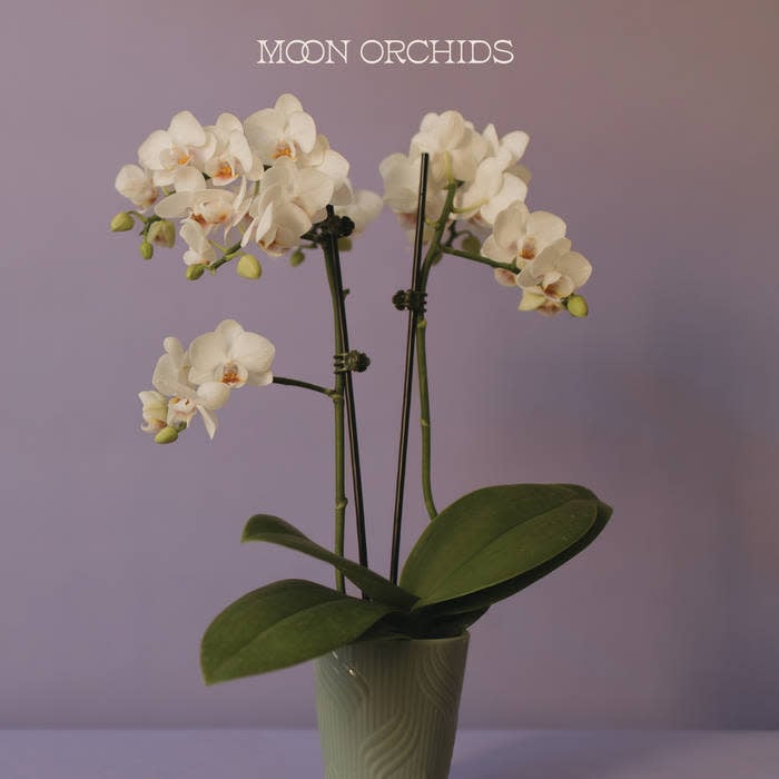 Self-Titled by Moon Orchids album artwork