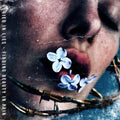 Finding Beauty in Pain LP by Buried in Lies album artwork