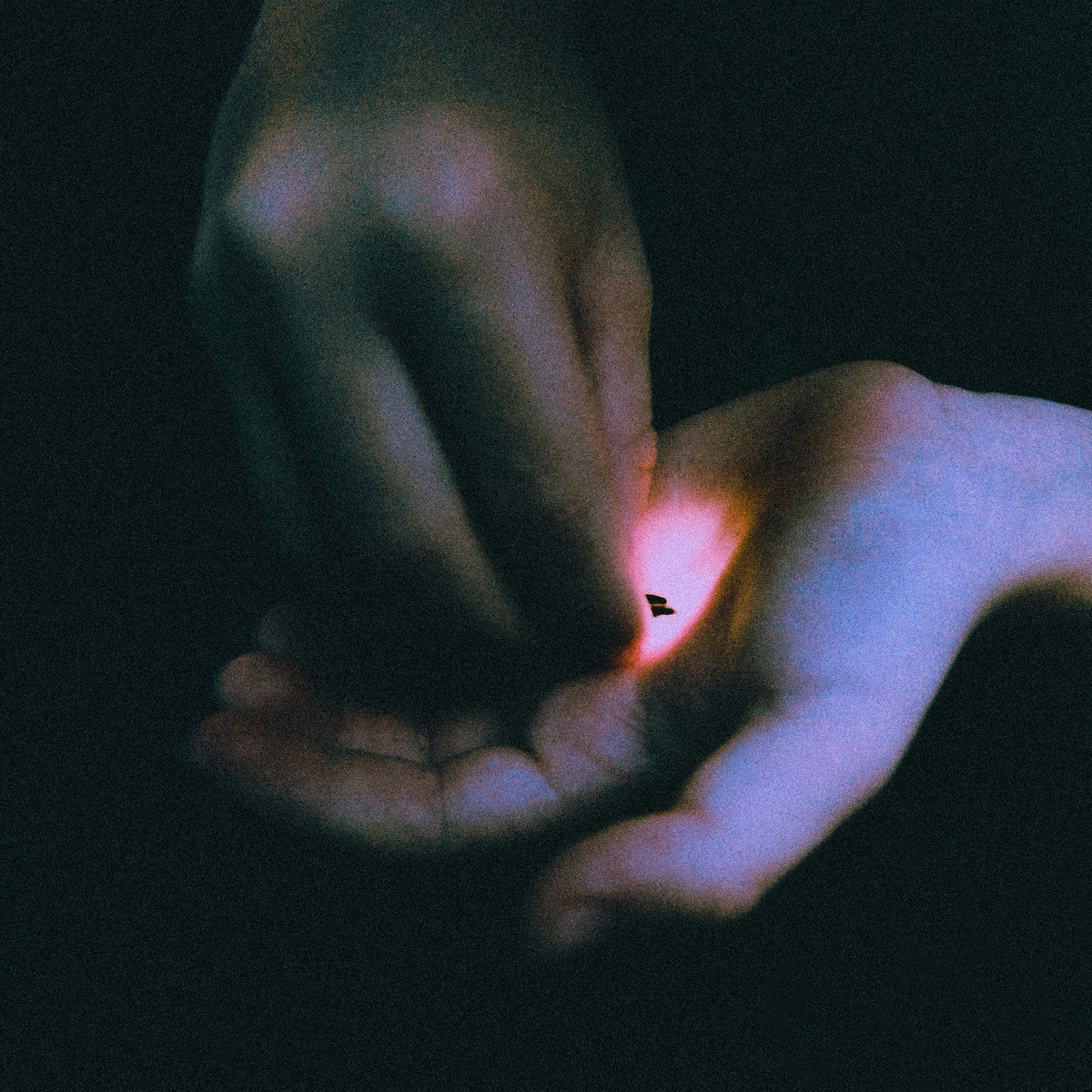 Stray LP by Bambara album artwork