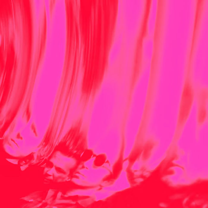Love Fuzz LP by Ty Segall album artwork