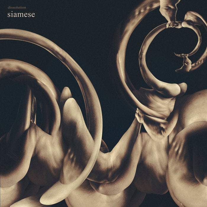 Dissolution LP by Siamese album artwork