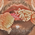 Underneath the Pine LP by Toro y Moi album artwork