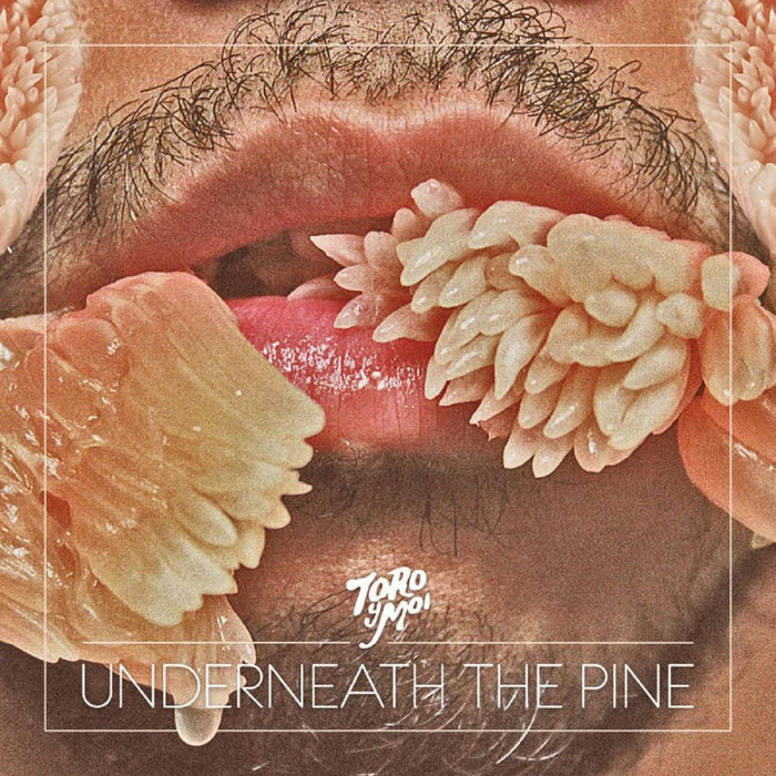 Underneath the Pine LP by Toro y Moi album artwork