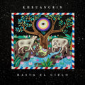Hasta El Cielo In Dub LP by Khruangbin album artwork