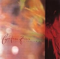 Tiny Dynamine/Echoes in a Shallow Bay LP by Cocteau Twins album artwork