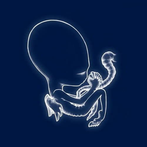 Agaetis Byrjun 2LP by Sigur Ros album artwork