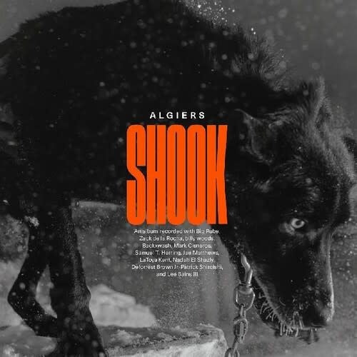 Shook 2LP by Algiers album artwork