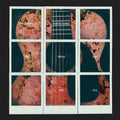 All the Truth that I Can Tell LP by Dashboard Confessional album artwork