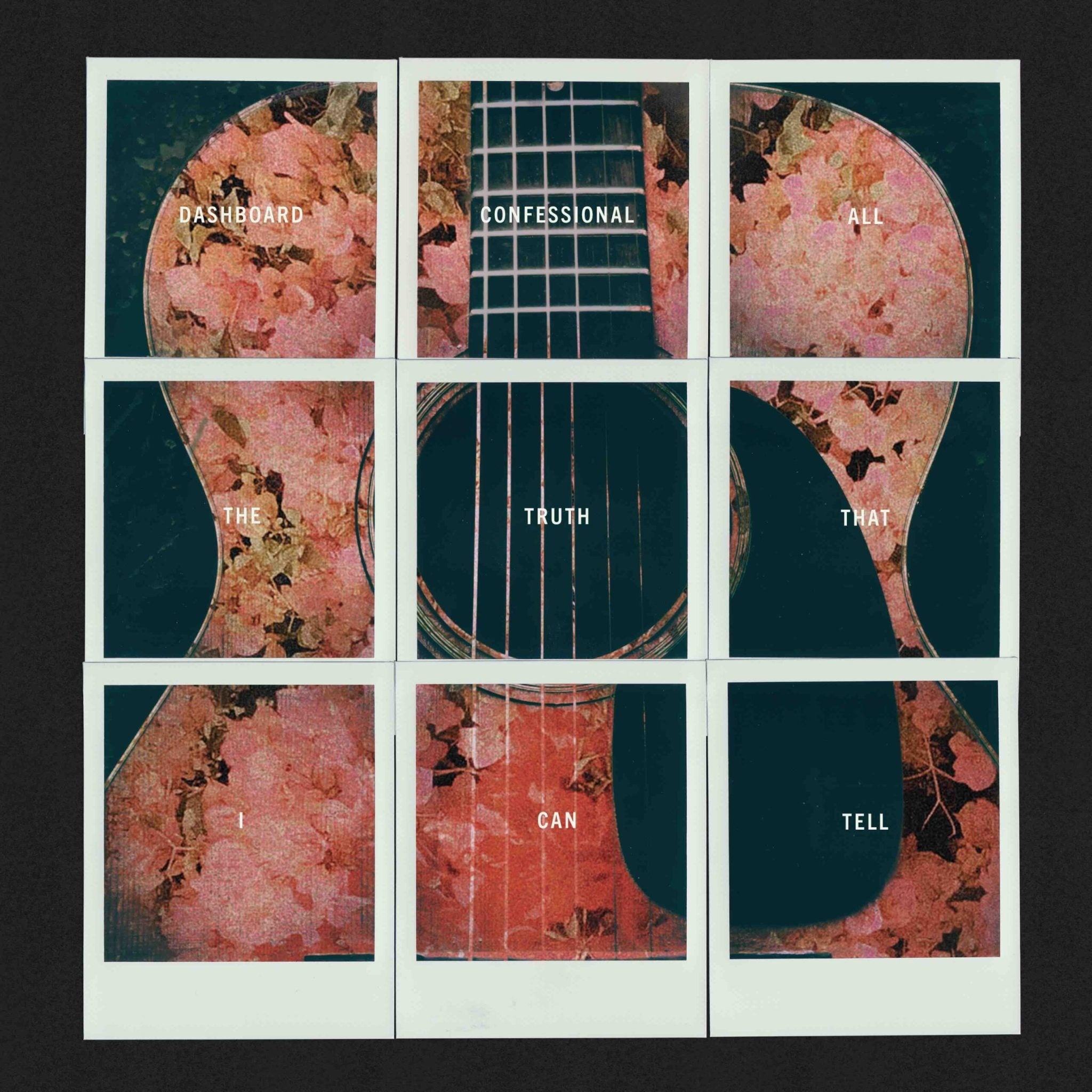 All the Truth that I Can Tell LP by Dashboard Confessional album artwork