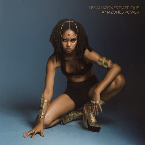 Amazones Power: Various Artists LP by Les Amazones D'Afrique album artwork