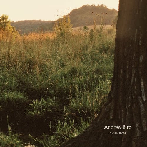 Noble Beast 2LP by Andrew Bird album artwork