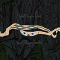 Spirit they're Gone, Spirit they're Vanished 2LP by Animal Collective album artwork
