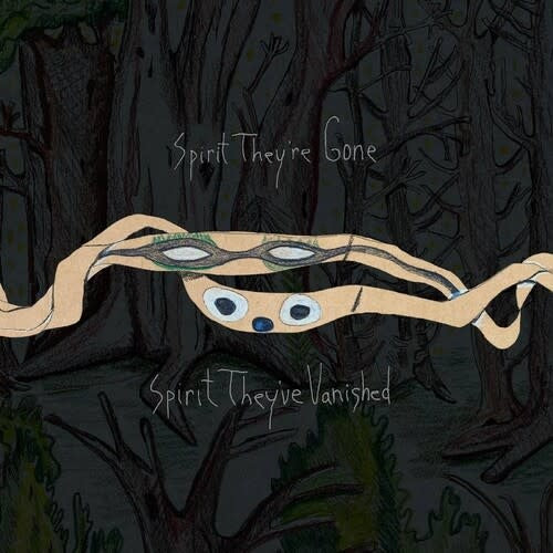 Spirit they're Gone, Spirit they're Vanished 2LP by Animal Collective album artwork