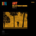 Collection of Sounds Vol. 2 2LP by Ant album artwork