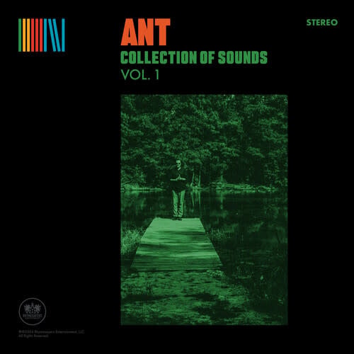 Collection of Sounds Vol. 1 LP by Ant album artwork