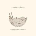 Appaloosa Bones LP by Gregory Alan Isakov album artwork