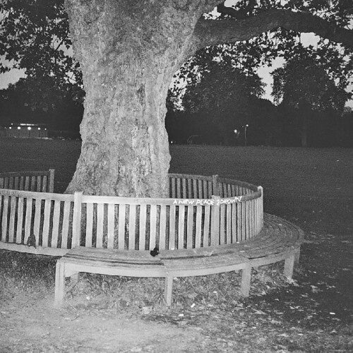 A New Place 2 Drown (Instrumentals) LP by Archy Marshall album artwork