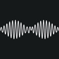 AM LP by Arctic Monkeys album artwork
