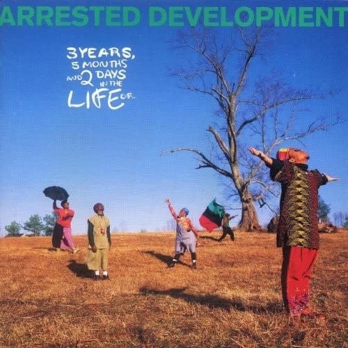 3 Years, 5 Months & 2 Days in the Life of LP by Arrested Development album artwork