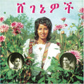 Beauties LP by Aselefech Ashine album artwork