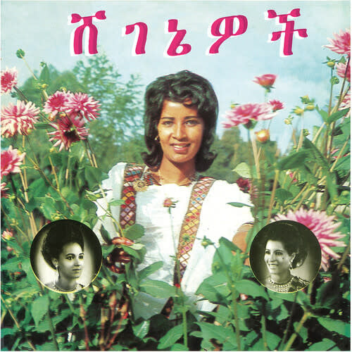 Beauties LP by Aselefech Ashine album artwork