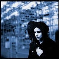 Blunderbuss LP by Jack White album artwork