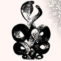 Volume 4 & 5 2LP by Bardo Pond album artwork