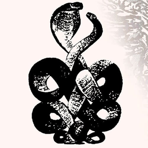 Volume 4 & 5 2LP by Bardo Pond album artwork