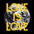 Love Is Love LP by Woods album artwork