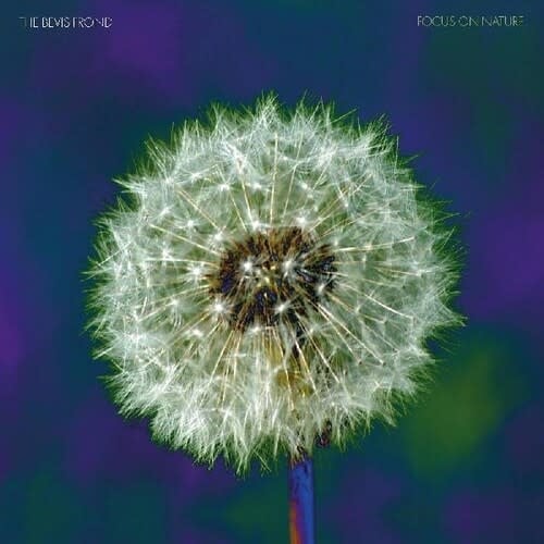 Focus on Nature 2LP by The Bevis Frond album artwork