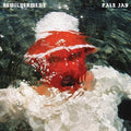 Bewilderment LP by Pale Jay album artwork