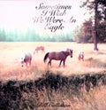 Sometimes I Wish We Were an Eagle LP by Bill Callahan album artwork