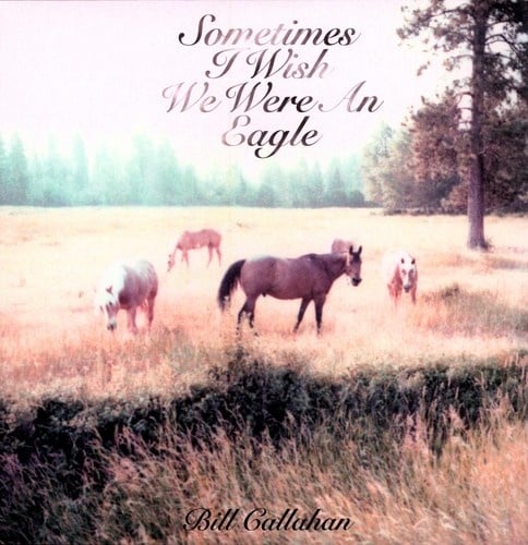 Sometimes I Wish We Were an Eagle LP by Bill Callahan album artwork