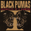 Chronicles of a Diamond LP by Black Pumas album artwork