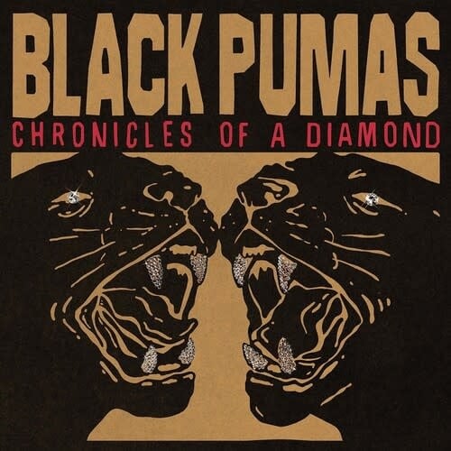 Chronicles of a Diamond LP by Black Pumas album artwork